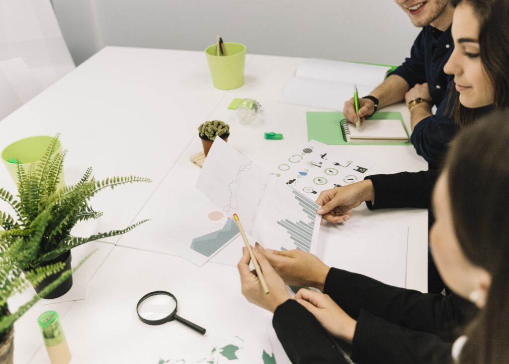 Dedicated SEO Consultant and Agency Services for CBD
